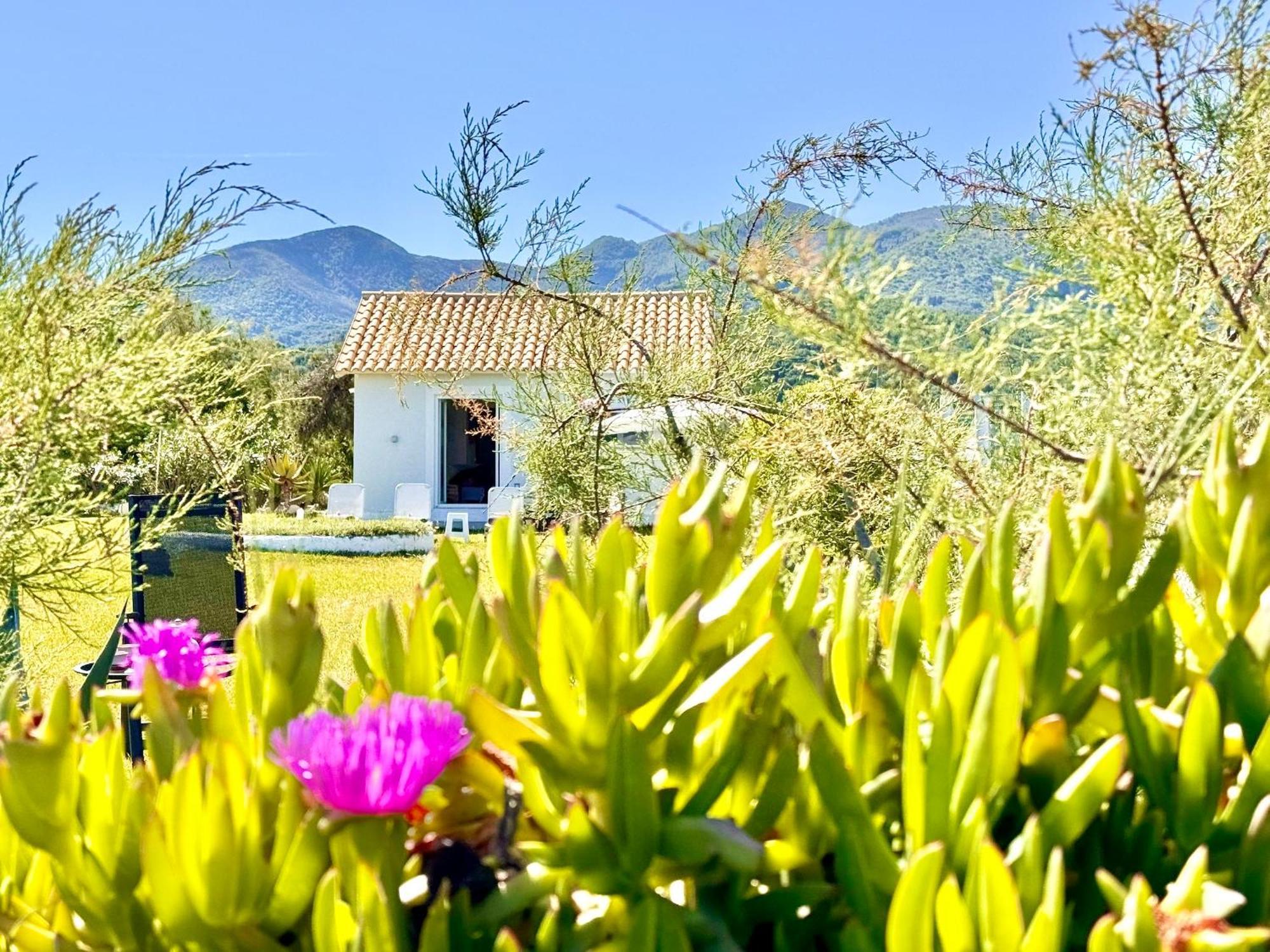 Villa Beachfront Stato Da Mar By Dadovillas